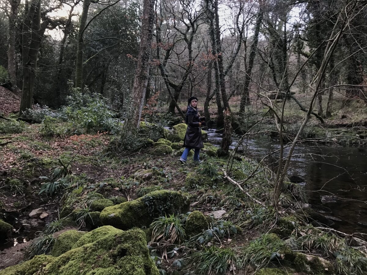 Devon stream February 2020