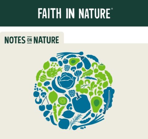 Faith in Nature November 2019